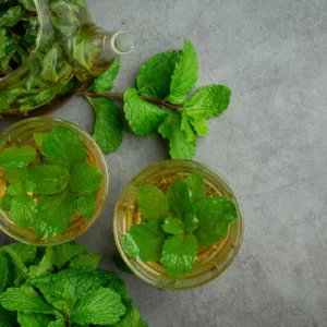 Moringa Mint Infusion 25dips/Box